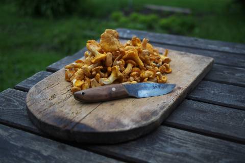 Pfifferling-Saison in der Dorfküche image