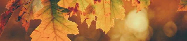 Menüvorschläge Herbst - Landhotel Saarschleife