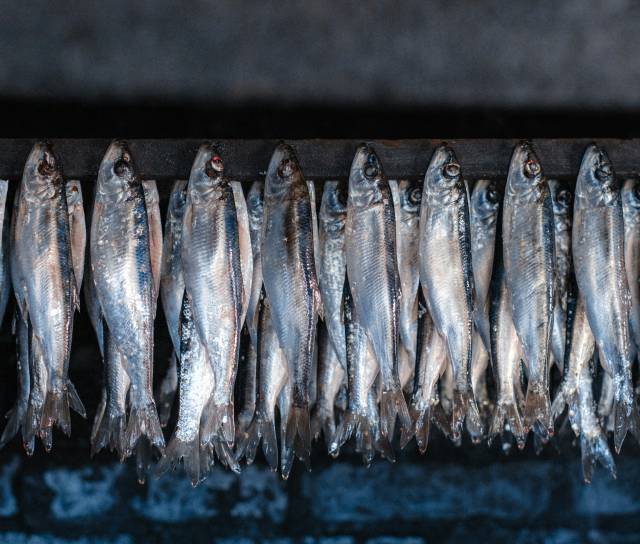 Matjes-Zeit in Buchnas Dorfküche