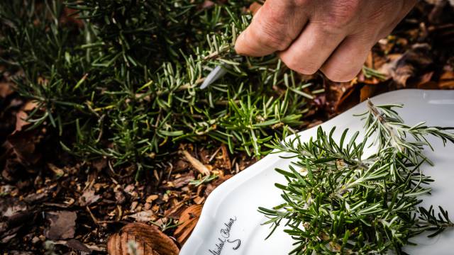 Slowfood Tafel in drei Gängen: Jederzeit buchbar - Hotel zur Saarschleife