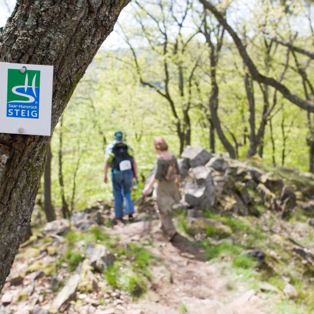 Wandern & Radfahren - Hotel zur Saarschleife