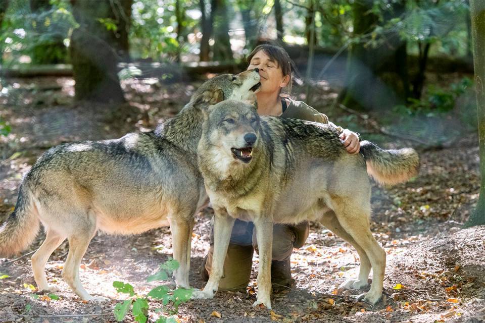 Wolfspark-Werner-Freund Merzig: Christian Münch-Buchna empfiehlt - Hotel zur Saarschleife